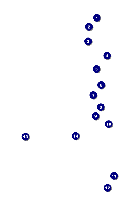 Funky Bottles VIP Event Badge Medium Front Field Markers