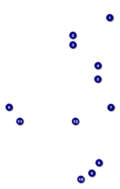 Fourth of July Hometown VIP Event Badge Medium Front Field Markers