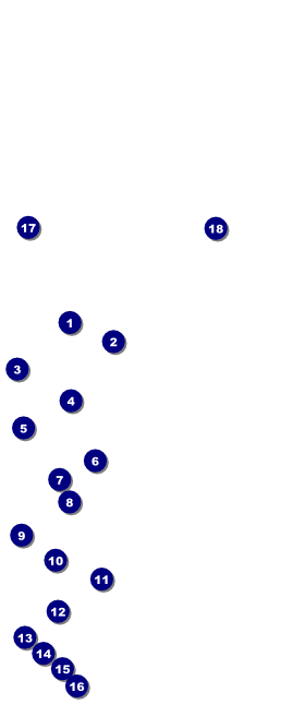 Cherry Blossom Circle VIP Event Badge Large Front Field Markers