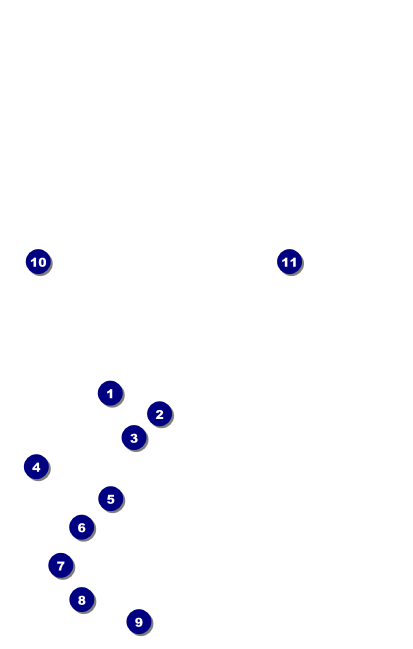 Cherry Blossom Circle VIP Event Badge Medium Front Field Markers
