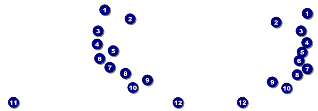 Winter Bird General Admission Ticket Front Field Markers