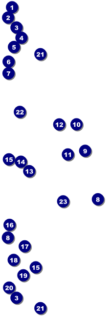 All Purpose Big Logo Brown Event Ticket Front Field Markers