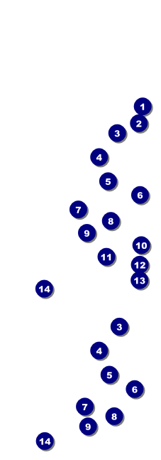 Chinese New Year Event Ticket Front Field Markers