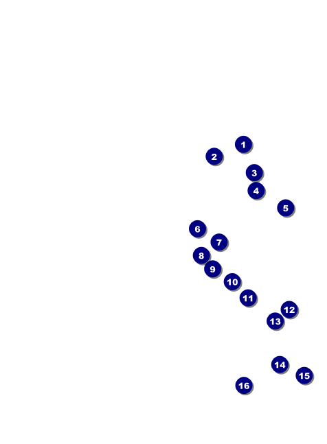 California Invitation (Gray and Blue) Front Field Markers