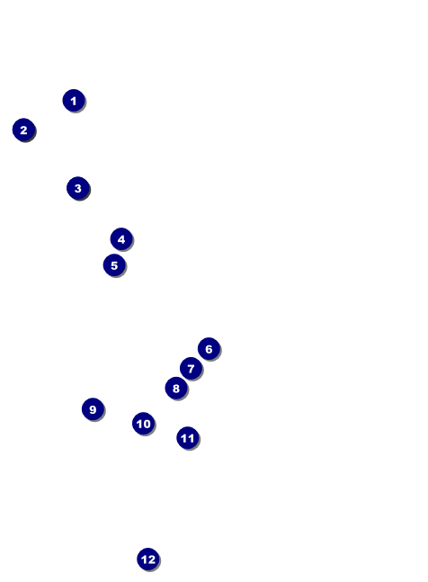 Whimsical Paris Invitation Front Field Markers