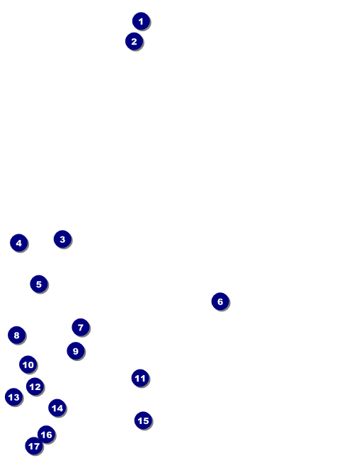 Symphony Holiday Pops Invitation Front Field Markers