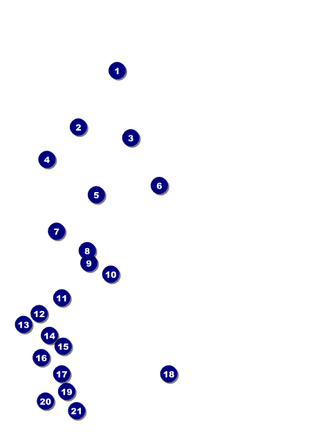 Year Parchment Paper Invitation Front Field Markers