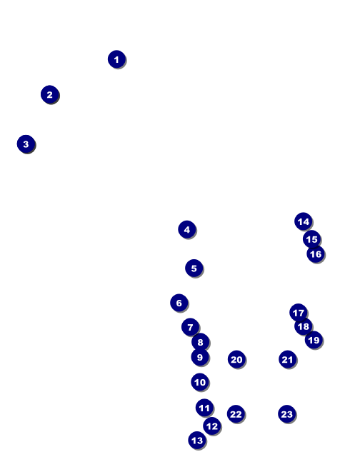 Disco Dance Festival Invitation Front Field Markers