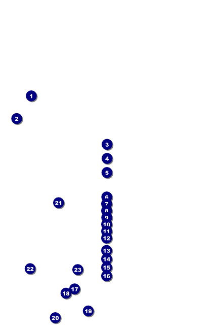 Americana Poster Front Field Markers