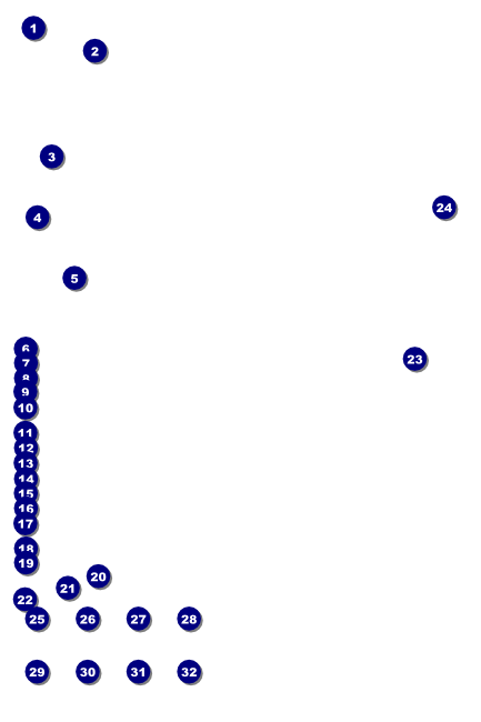 Chinese New Year Snake Poster Front Field Markers