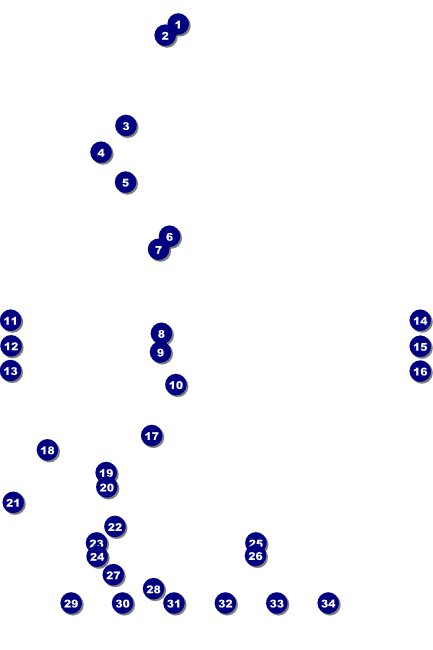 Football Lights Poster Front Field Markers