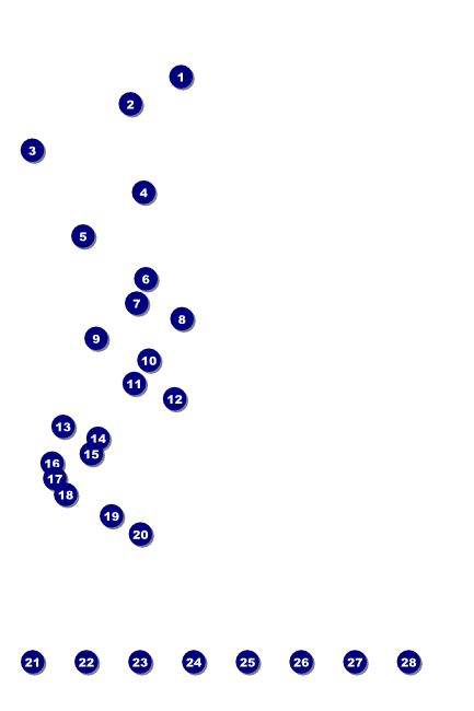 Dallas Poster (Black and White) Front Field Markers