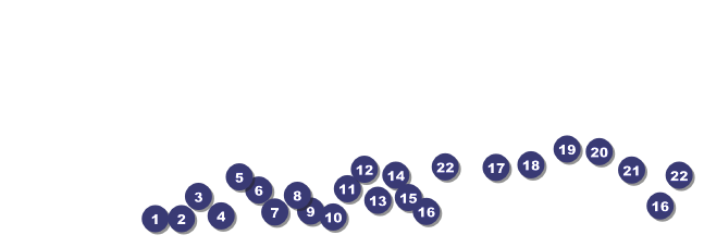 Fashion Show Raffle Ticket Front Field Markers