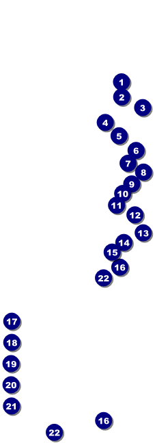 New York Raffle Ticket Front Field Markers