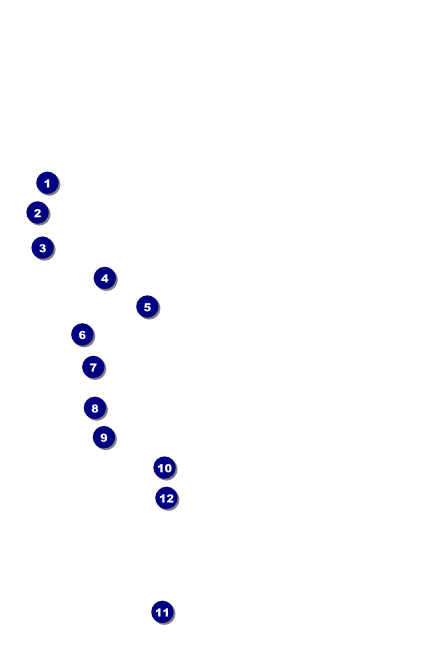 Virginia Drink Ticket Front Field Markers
