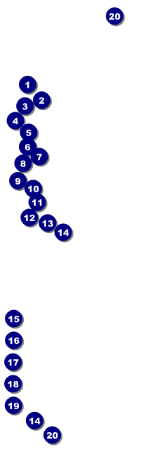 South Carolina Raffle Ticket Front Field Markers