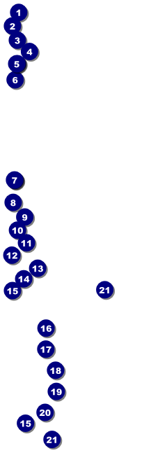 Lotus Flower Raffle Ticket Front Field Markers