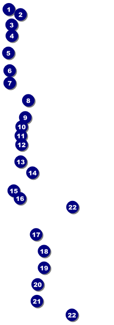 MMA Old School Raffle Ticket Front Field Markers