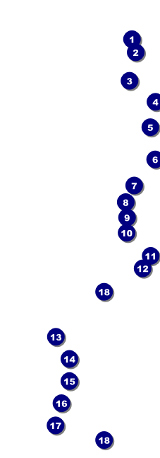 Comedy Spirals Raffle Ticket Front Field Markers