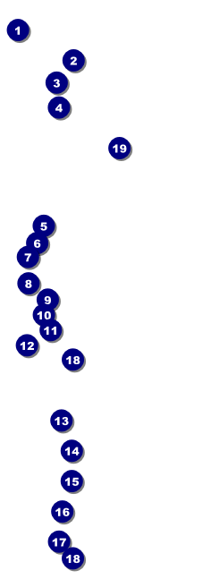 Fourth of July Freedom Raffle Ticket Front Field Markers