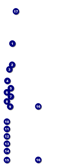 Sweet 16 Raffle Ticket Front Field Markers