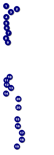 Jacksonville Raffle Ticket Front Field Markers