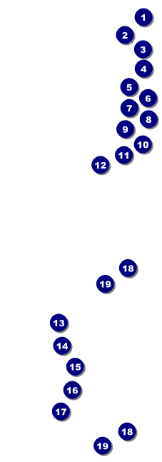 Denver Black and White Raffle Ticket Front Field Markers