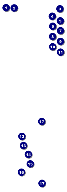 Toronto Raffle Ticket with stub (Black & white) Front Field Markers