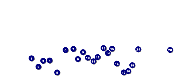 Performing Arts VIP Pass Front Field Markers