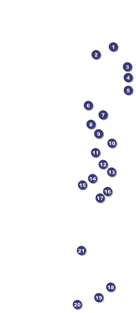 Kansas VIP Pass Front Field Markers
