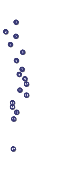 Washington VIP Pass Front Field Markers