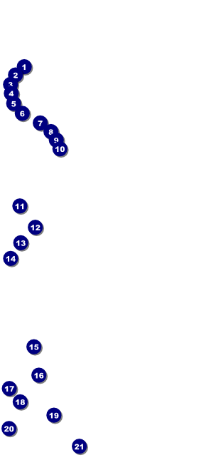 Big Heart VIP Pass Front Field Markers