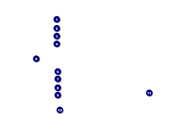 Fiesta Drink Ticket Front Field Markers