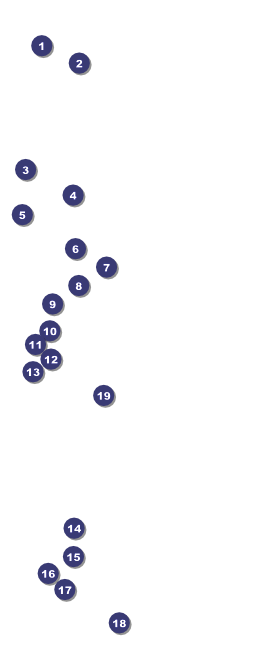 Sydney VIP Pass (Blue) Front Field Markers