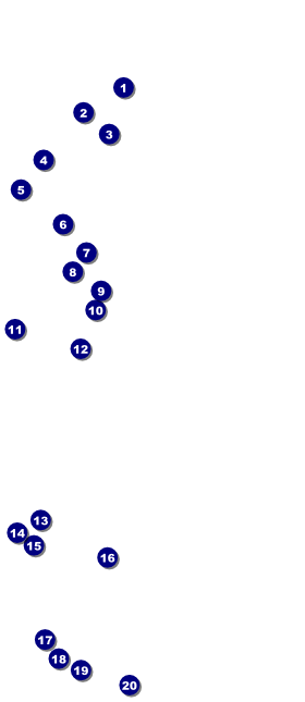 Kansas City VIP Pass Front Field Markers