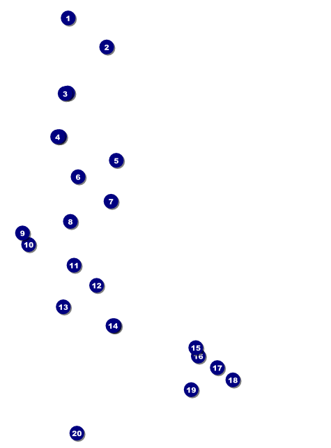 Cricket 2 Flyer Front Field Markers