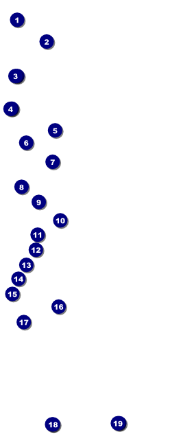 Cricket 2 VIP Pass Front Field Markers