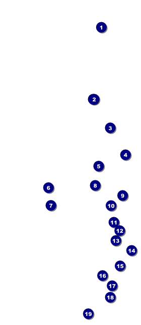 Lacrosse VIP Pass Front Field Markers