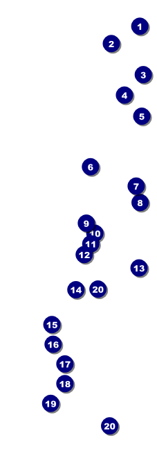Rugby Stadium Raffle Ticket Front Field Markers