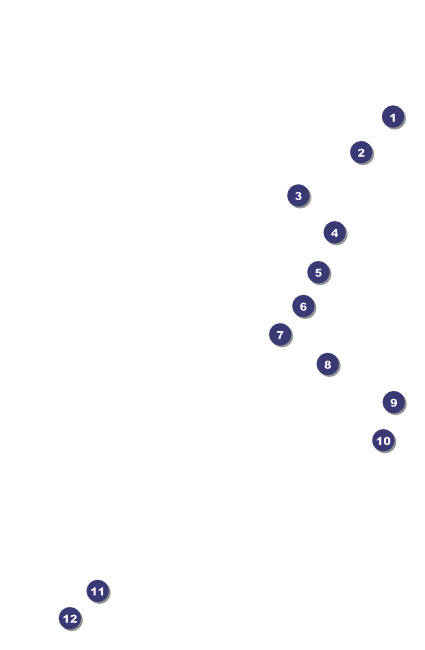 Washington Drink Ticket Front Field Markers