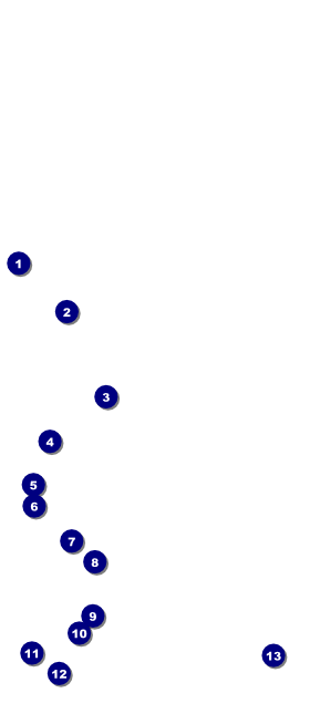 Burgers and Beer VIP Pass Front Field Markers