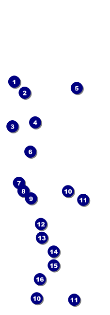 Dinosaur Raffle Ticket Front Field Markers