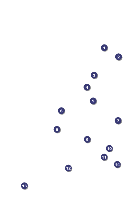 Fireworks Drink Ticket Front Field Markers