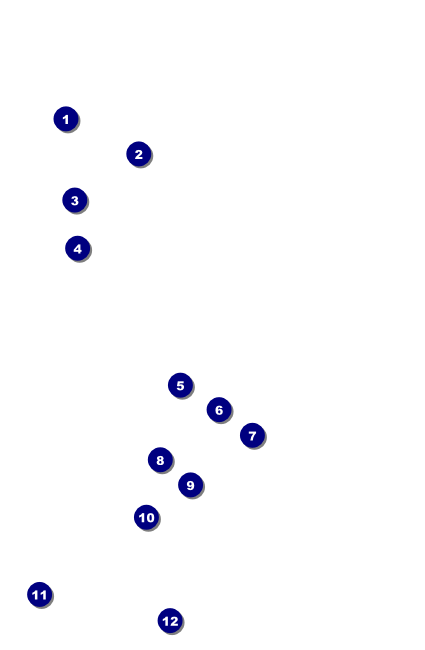 Paris Pink and Black Drink Ticket Front Field Markers