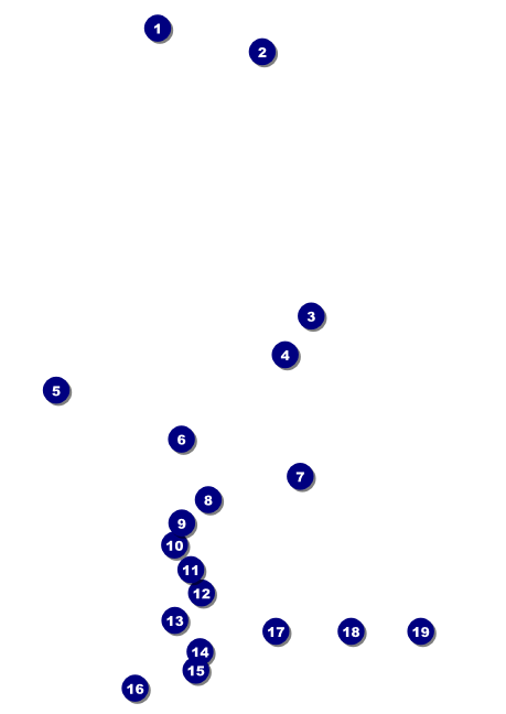 Peace Dove Club Flyer Front Field Markers
