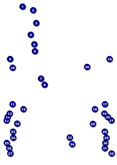 Guitar and Banjo Club Flyer Front Field Markers