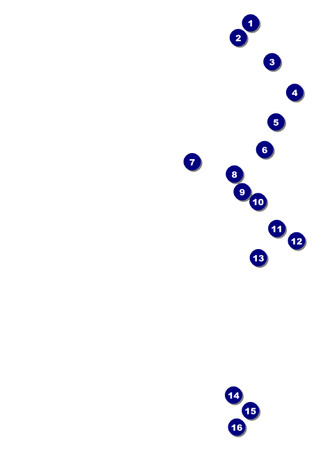 West Virginia Club Flyer Front Field Markers