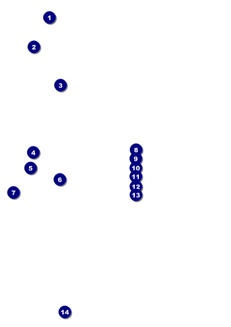 Pirate Ship Club Flyer Front Field Markers