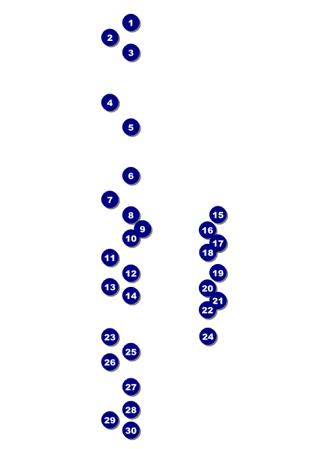 Black History Month Club Flyer Front Field Markers